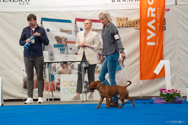 For Pets Cup – MLADÁ FENA