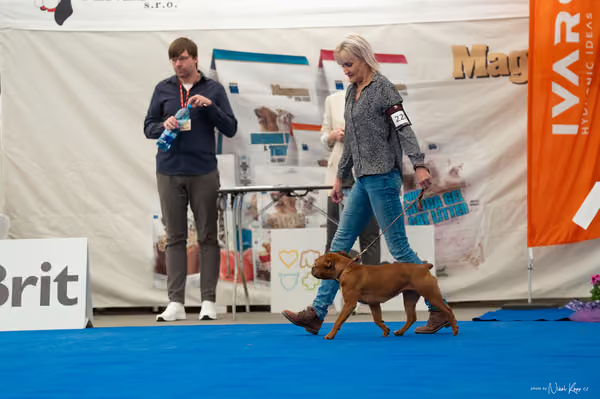 For Pets Cup – MLADÁ FENA