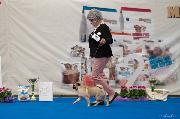 For Pets Cup – MLADÁ FENA