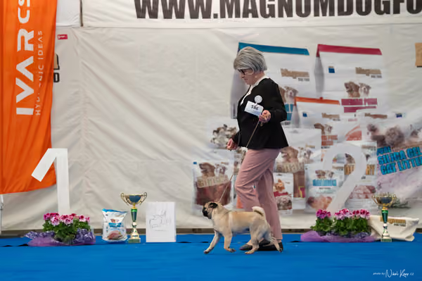 For Pets Cup – MLADÁ FENA