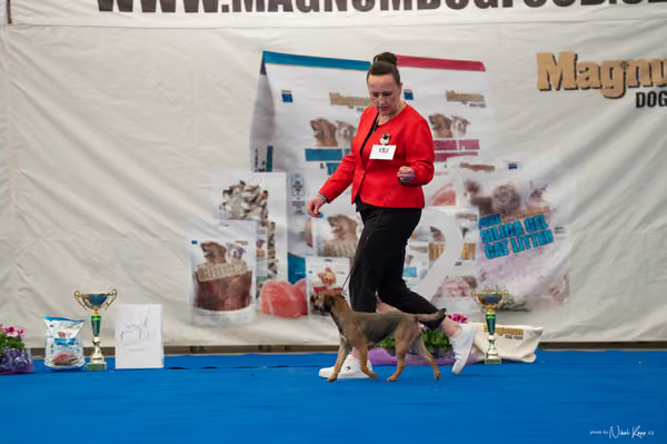 For Pets Cup – MLADÁ FENA