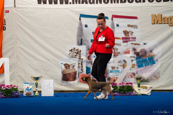 For Pets Cup – MLADÁ FENA