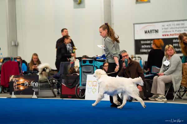 For Pets Cup — DSC03643