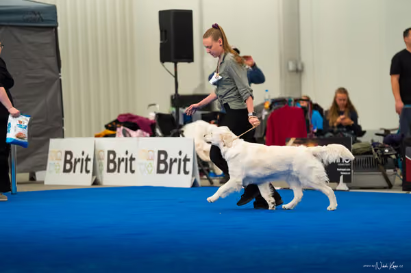 For Pets Cup — DSC03647