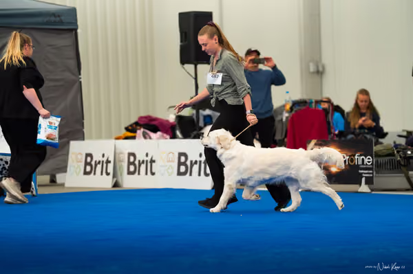 For Pets Cup — DSC03648