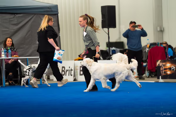 For Pets Cup — DSC03651