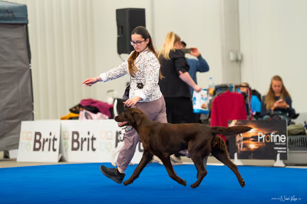 For Pets Cup — DSC03652