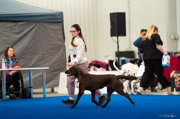 For Pets Cup — DSC03656