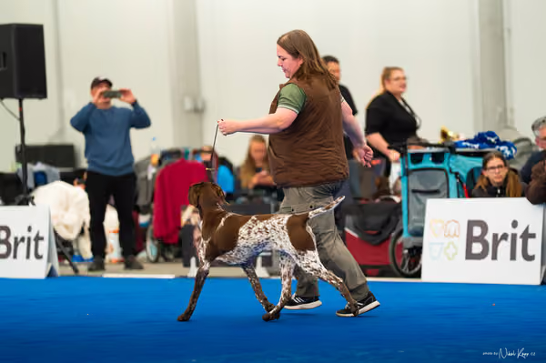 For Pets Cup — DSC03659