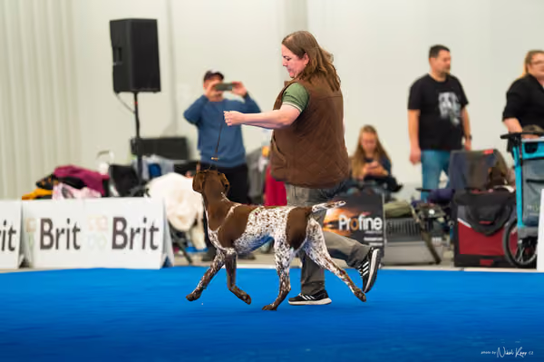 For Pets Cup — DSC03662