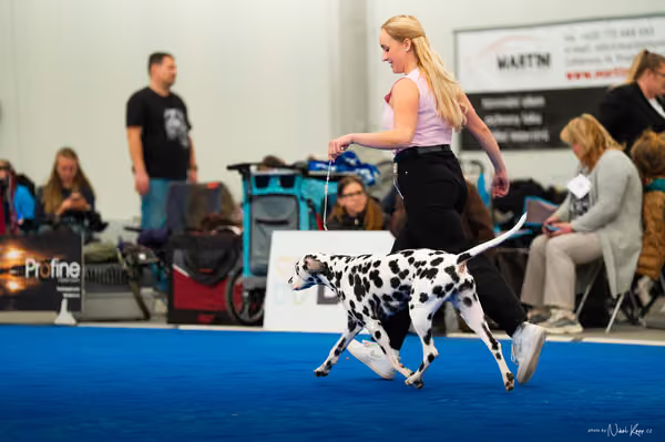 For Pets Cup — DSC03665