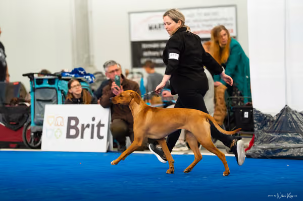 For Pets Cup — DSC03672