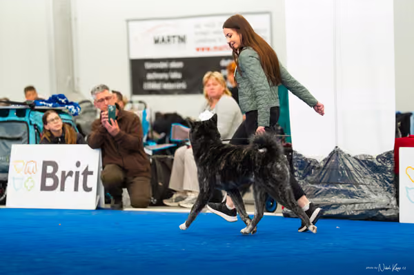 For Pets Cup — DSC03678