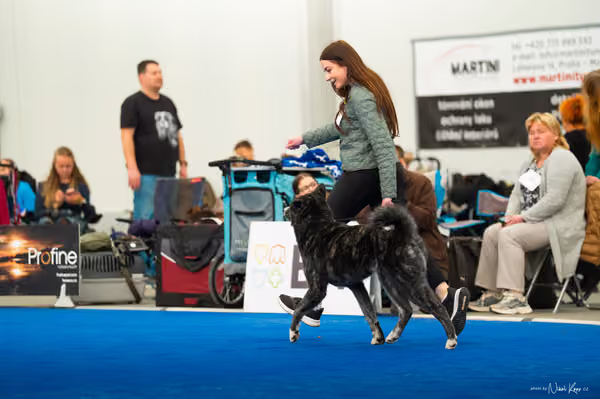For Pets Cup — DSC03684