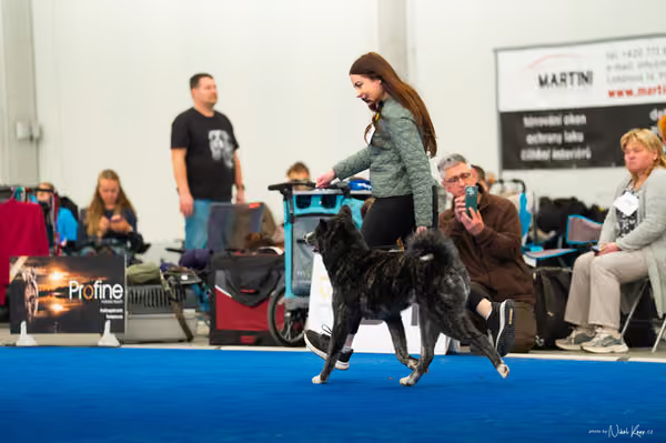 For Pets Cup — DSC03685