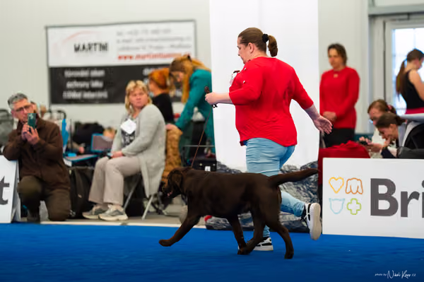 For Pets Cup — DSC03689