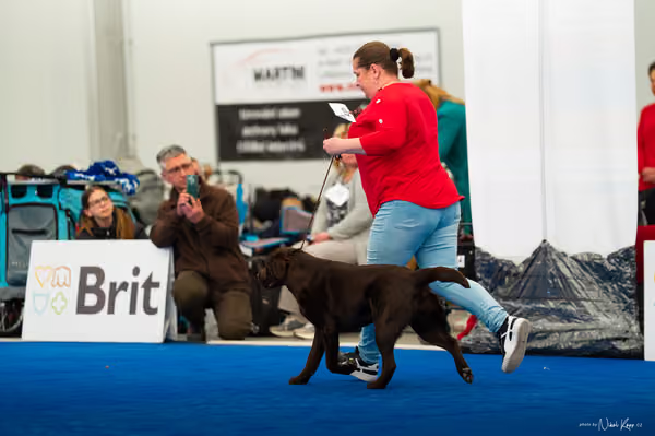 For Pets Cup — DSC03693