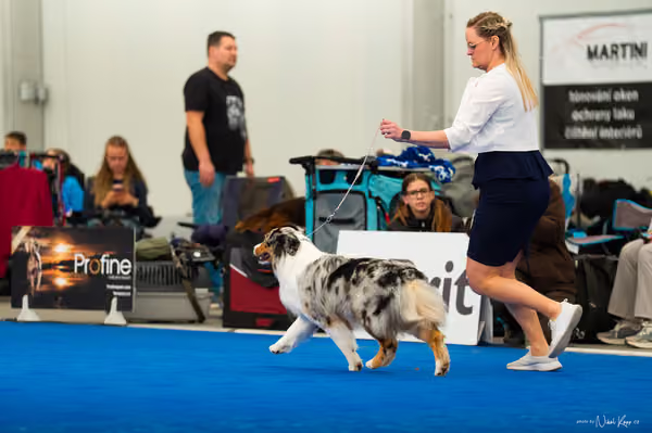 For Pets Cup — DSC03696