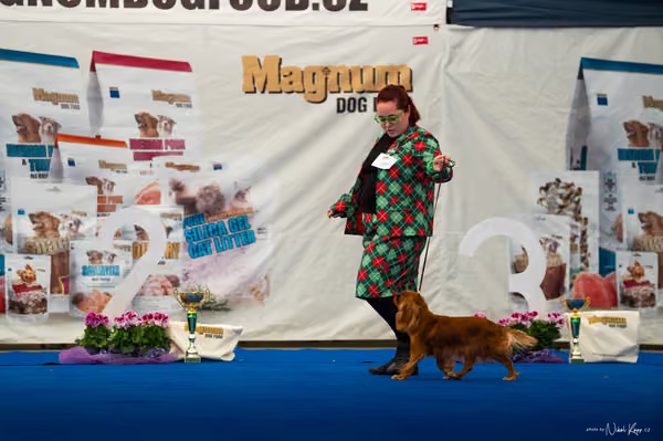 For Pets Cup – MLADÁ FENA