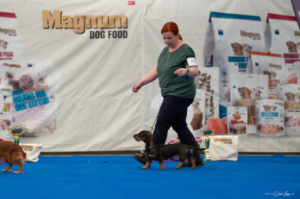 For Pets Cup – MLADÁ FENA
