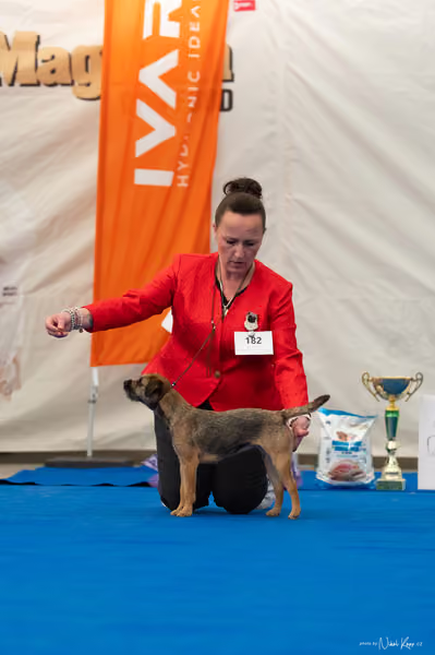For Pets Cup – MLADÁ FENA