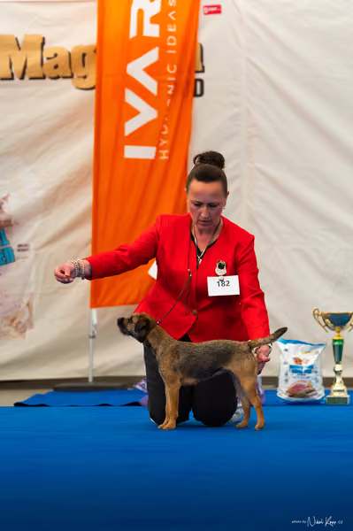 For Pets Cup – MLADÁ FENA