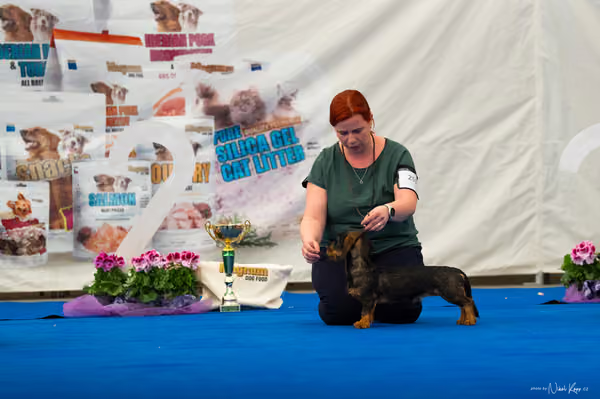For Pets Cup – MLADÁ FENA