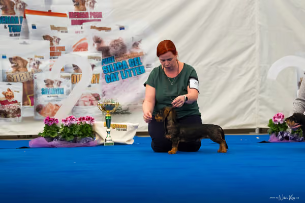 For Pets Cup – MLADÁ FENA