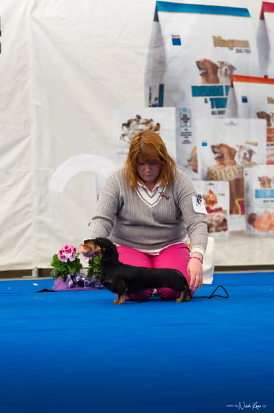 For Pets Cup – MLADÁ FENA