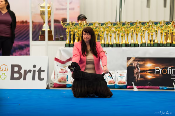 For Pets Cup – MLADÁ FENA