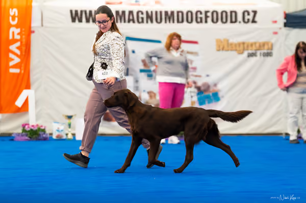 For Pets Cup – MLADÁ FENA