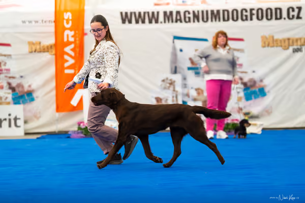 For Pets Cup – MLADÁ FENA