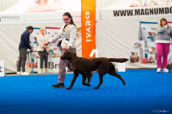 For Pets Cup – MLADÁ FENA