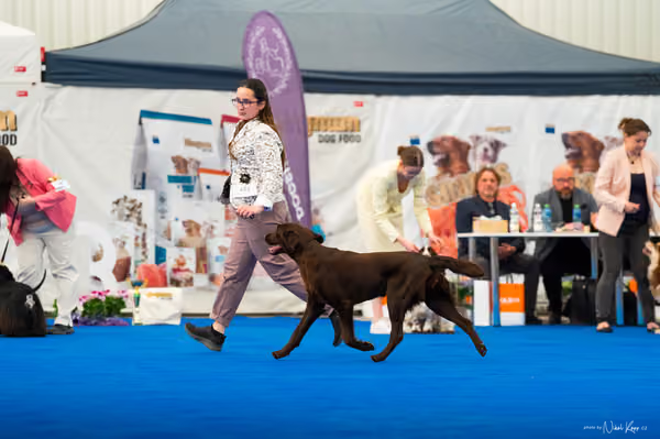 For Pets Cup – MLADÁ FENA