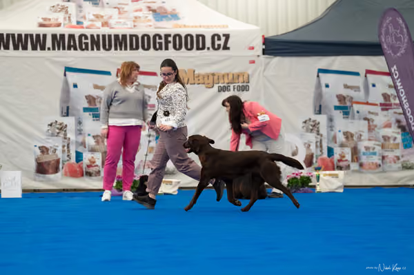 For Pets Cup – MLADÁ FENA
