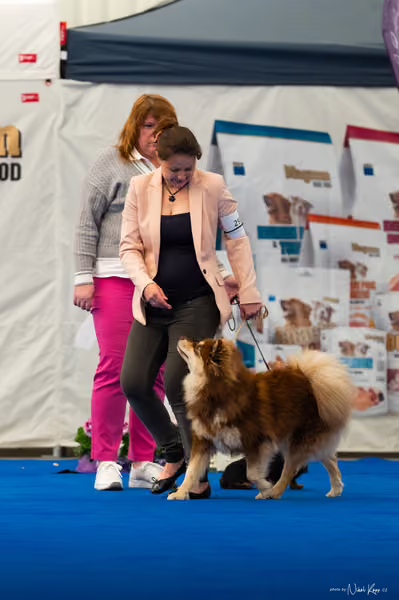 For Pets Cup – MLADÁ FENA