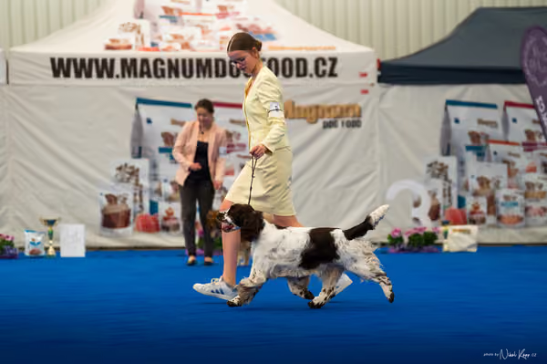 For Pets Cup – MLADÁ FENA