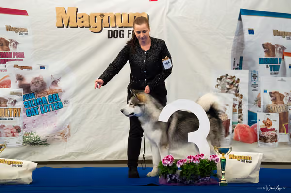 For Pets Cup – MLADÝ PES