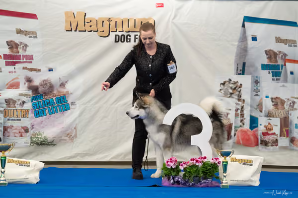 For Pets Cup – MLADÝ PES