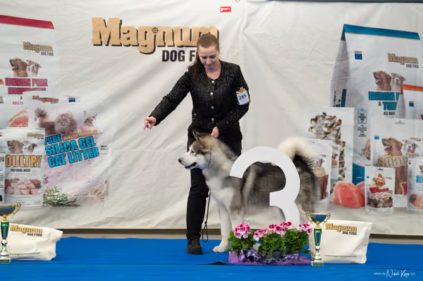 For Pets Cup – MLADÝ PES