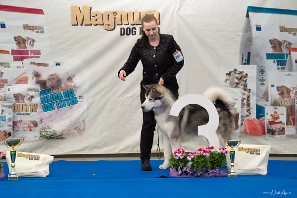 For Pets Cup – MLADÝ PES