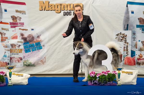 For Pets Cup – MLADÝ PES