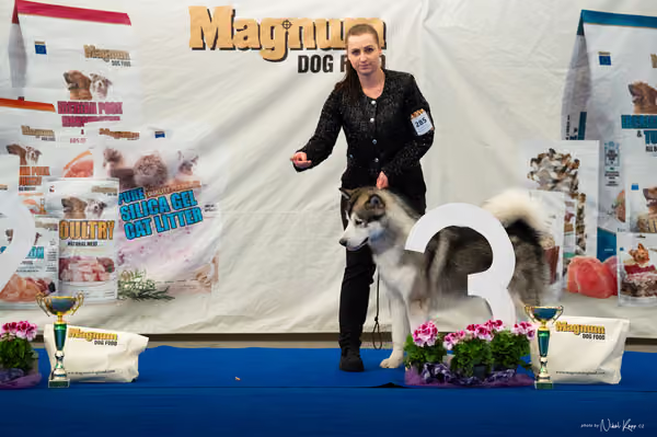For Pets Cup – MLADÝ PES