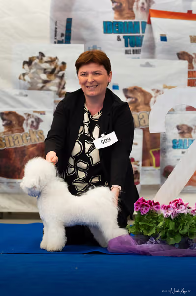 For Pets Cup – MLADÝ PES