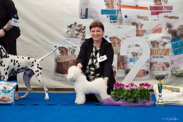 For Pets Cup – MLADÝ PES