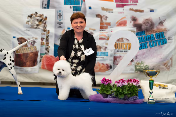 For Pets Cup – MLADÝ PES