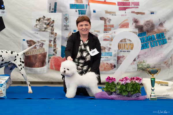 For Pets Cup – MLADÝ PES