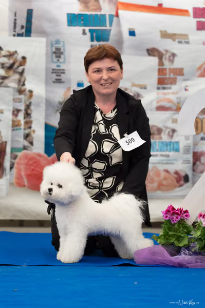 For Pets Cup – MLADÝ PES