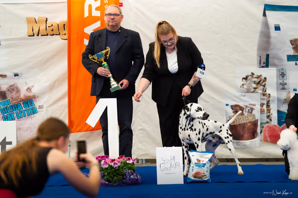 For Pets Cup – MLADÝ PES
