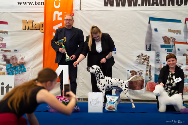 For Pets Cup – MLADÝ PES
